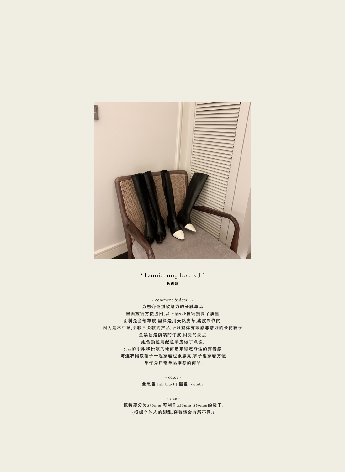 Lannic long boots ♩